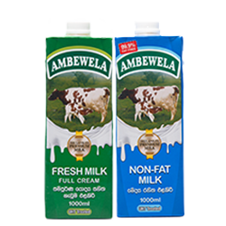 Fresh Milk