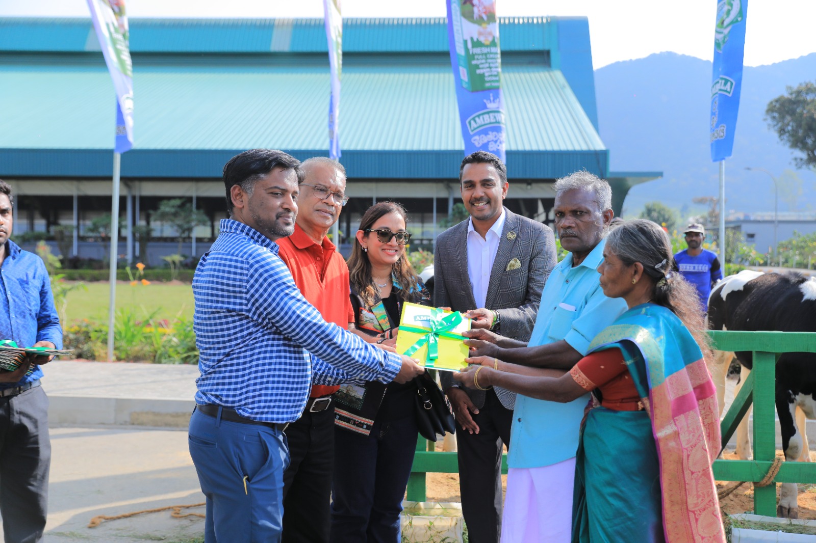 Ambewela Cheese Image