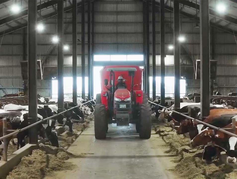 Pattipola Farm