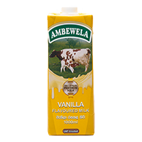 Fresh Milk