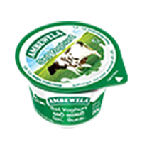 Yoghurt