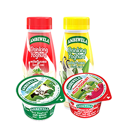 Yoghurt